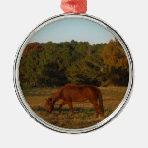 Bruin paard in de zon metalen ornament