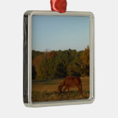 Bruin paard in de zon metalen ornament (Rechts)