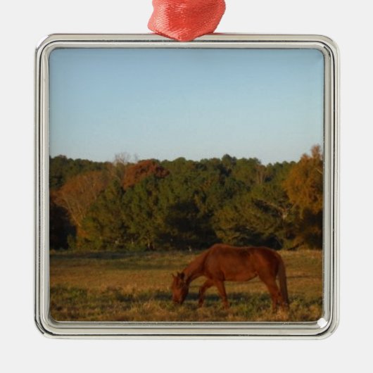 Bruin paard in de zon metalen ornament (Voorkant)