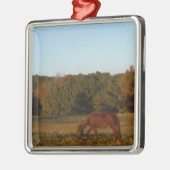 Bruin paard in de zon metalen ornament (Links)