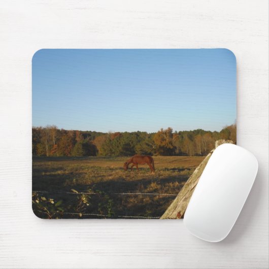 Bruin paard in de zon muismat (Met muis)