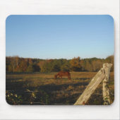 Bruin paard in de zon muismat (Voorkant)