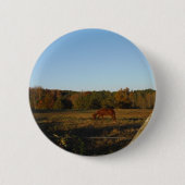 Bruin paard in de zon ronde button 5,7 cm (Voorkant)