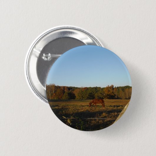Bruin paard in de zon ronde button 5,7 cm (Voorkant /achterkant)