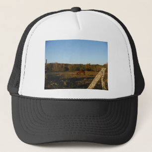Bruin paard in de zon trucker pet