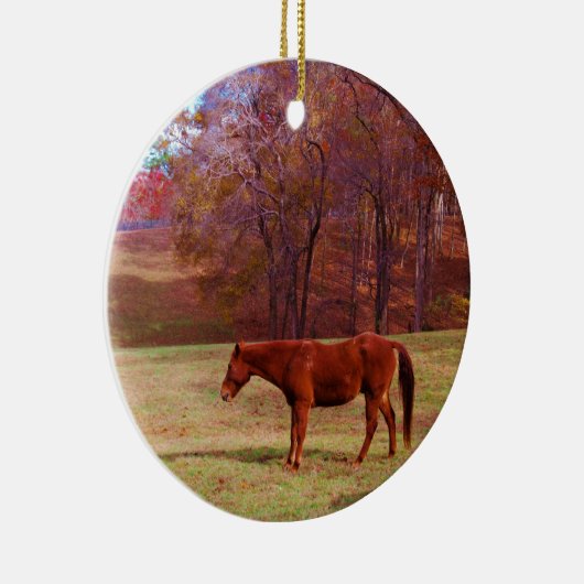 Bruin paard in een grasveld keramisch ornament (Rechts)