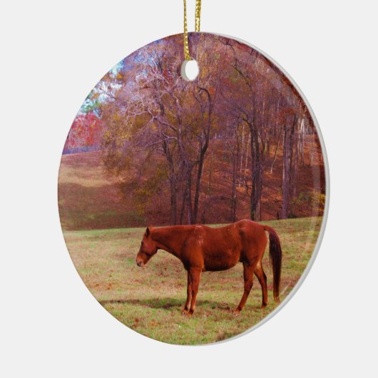 Bruin paard in een grasveld keramisch ornament (Links)