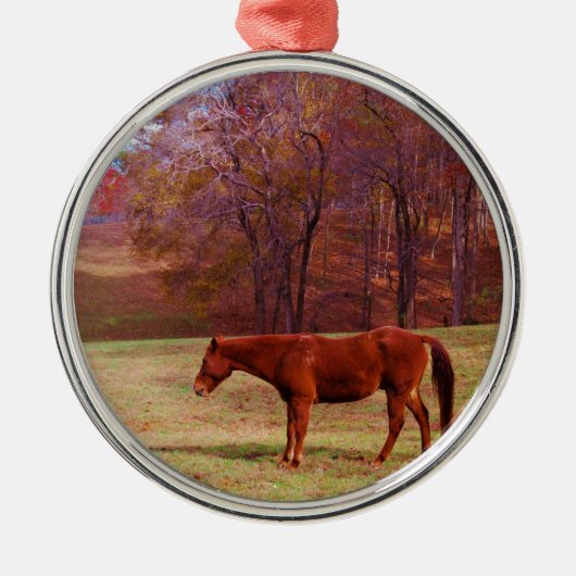 Bruin paard in een grasveld metalen ornament (Voorkant)