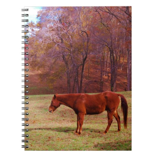 Bruin paard in een grasveld notitieboek (Voorkant)