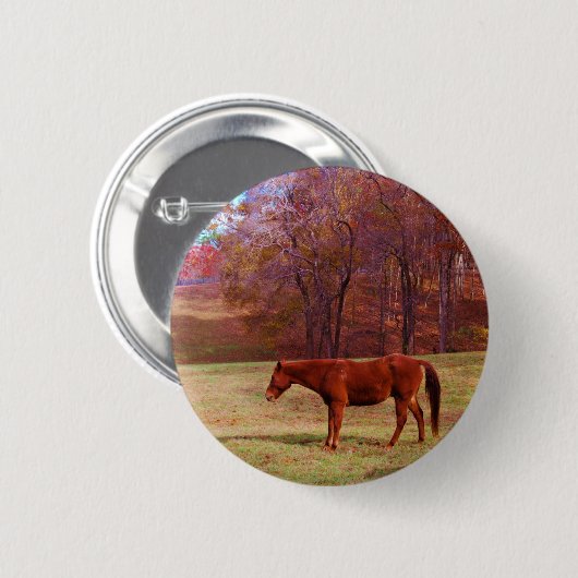 Bruin paard in een grasveld ronde button 5,7 cm (Voorkant /achterkant)