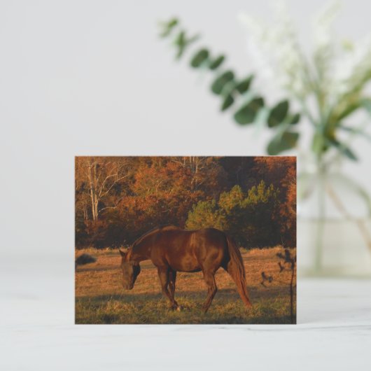 Bruin paard in een herfstveld briefkaart (Staand voorkant)