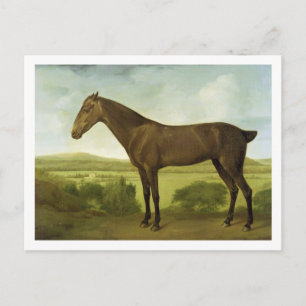 Bruin Paard in een Heuvelig Landschap, c.1780-1800 Briefkaart