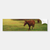 Bruin paard in een regenboogkleurig veld bumpersticker (Voorkant)