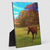 Bruin paard in een regenboogkleurig veld fotoplaat (Zijkant)