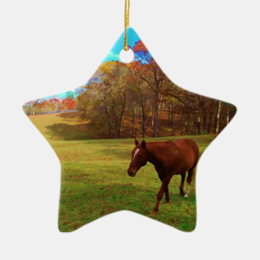 Bruin paard in een regenboogkleurig veld keramisch ornament (Voorkant)