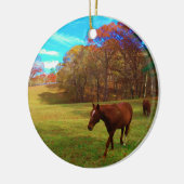 Bruin paard in een regenboogkleurig veld keramisch ornament (Links)