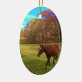 Bruin paard in een regenboogkleurig veld keramisch ornament (Links)