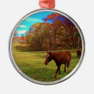 Bruin paard in een regenboogkleurig veld metalen ornament