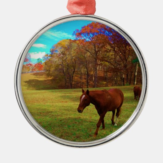 Bruin paard in een regenboogkleurig veld metalen ornament (Voorkant)