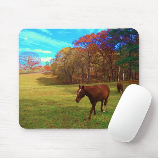 Bruin paard in een regenboogkleurig veld muismat (Met muis)