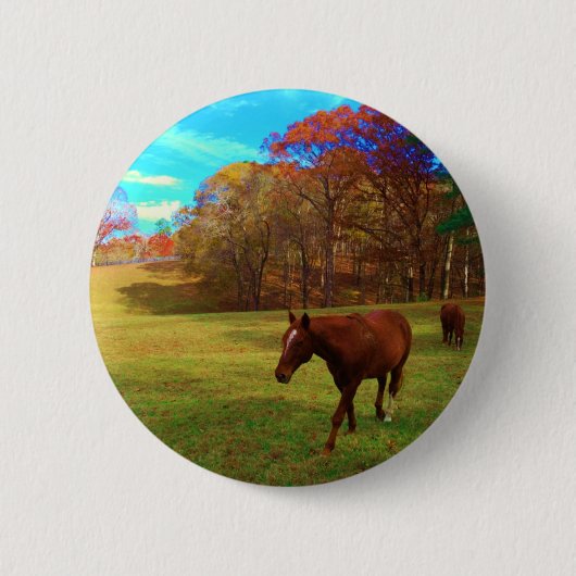 Bruin paard in een regenboogkleurig veld ronde button 5,7 cm (Voorkant)