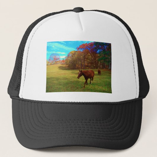 Bruin paard in een regenboogkleurig veld trucker pet (Voorkant)