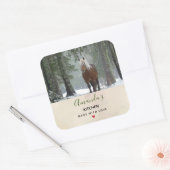 Bruin paard in een Winter Forest Kitchen Vierkante Sticker (Envelop)