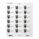 Bruin paard in een winterbos met sneeuwval etiket (Full Sheet)