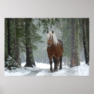 Bruin paard in een winterbos met sneeuwval poster