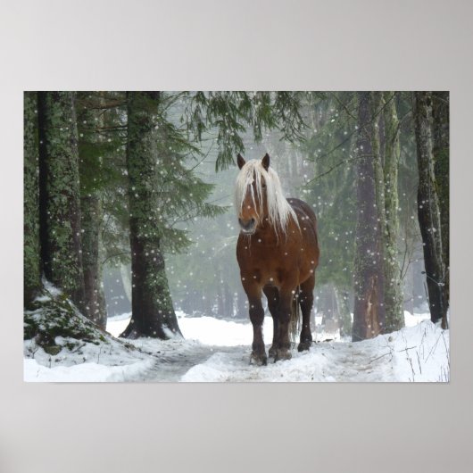 Bruin paard in een winterbos met sneeuwval poster (Voorkant)