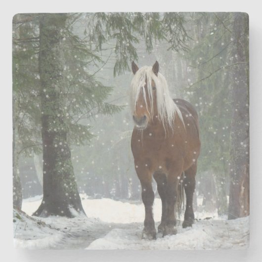 Bruin paard in een winterbos met sneeuwval stenen onderzetter (Voorkant)