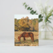 Bruin paard in geel boomveld briefkaart (Staand voorkant)