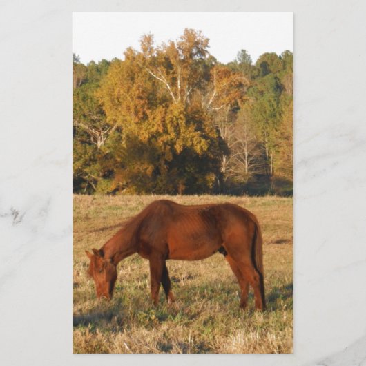 Bruin paard in geel boomveld briefpapier (Voorkant)