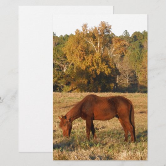 Bruin paard in geel boomveld briefpapier (Voorkant / Achterkant)