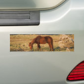 Bruin paard in geel boomveld bumpersticker (Op auto)