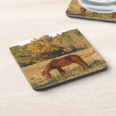 Bruin paard in geel boomveld drankjes onderzetter (Linkerzijde)