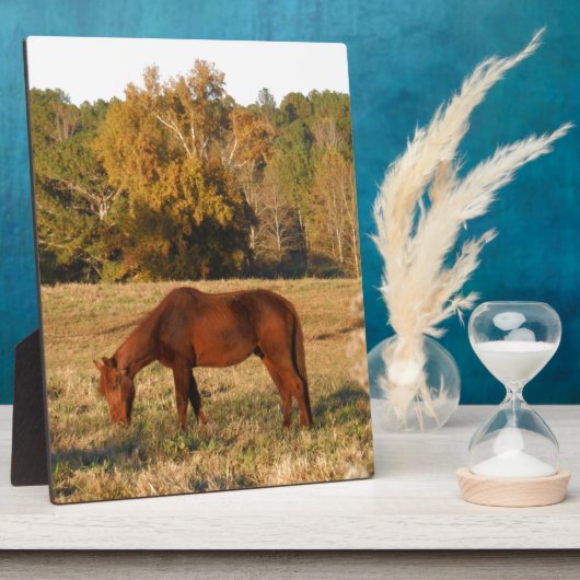 Bruin paard in geel boomveld fotoplaat (Zijkant)