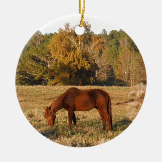 Bruin paard in geel boomveld keramisch ornament (Voorkant)