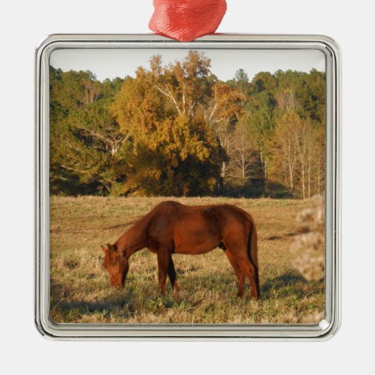 Bruin paard in geel boomveld metalen ornament (Voorkant)