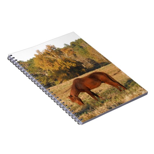 Bruin paard in geel boomveld notitieboek (Rechterzijde)