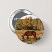 Bruin paard in geel boomveld ronde button 5,7 cm (Voorkant /achterkant)