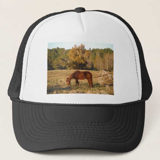 Bruin paard in geel boomveld trucker pet (Voorkant)