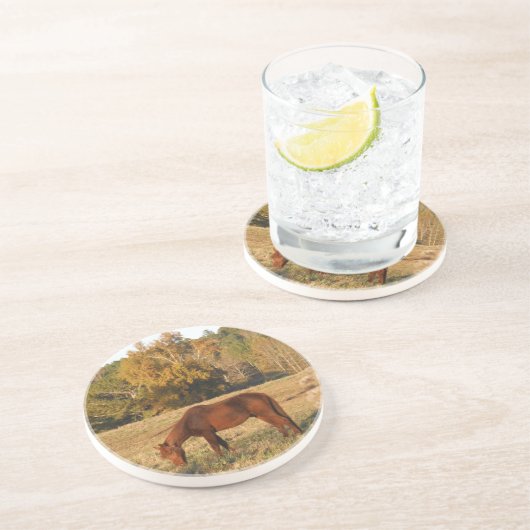 Bruin paard in geel boomveld zandsteen onderzetter (Zijkant)