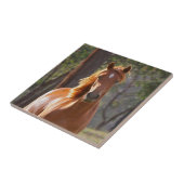 Bruin paard in het zonlicht tegeltje (Zijkant)