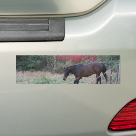 Bruin paard in rode herfstbomen bumpersticker (Op auto)