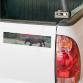 Bruin paard in rode herfstbomen bumpersticker (Op Truck)