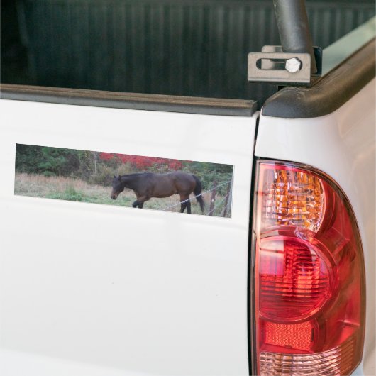 Bruin paard in rode herfstbomen bumpersticker (Op Truck)
