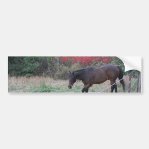 Bruin paard in rode herfstbomen bumpersticker