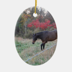 Bruin paard in rode herfstbomen keramisch ornament