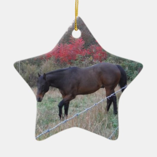 Bruin paard in rode herfstbomen keramisch ornament (Voorkant)